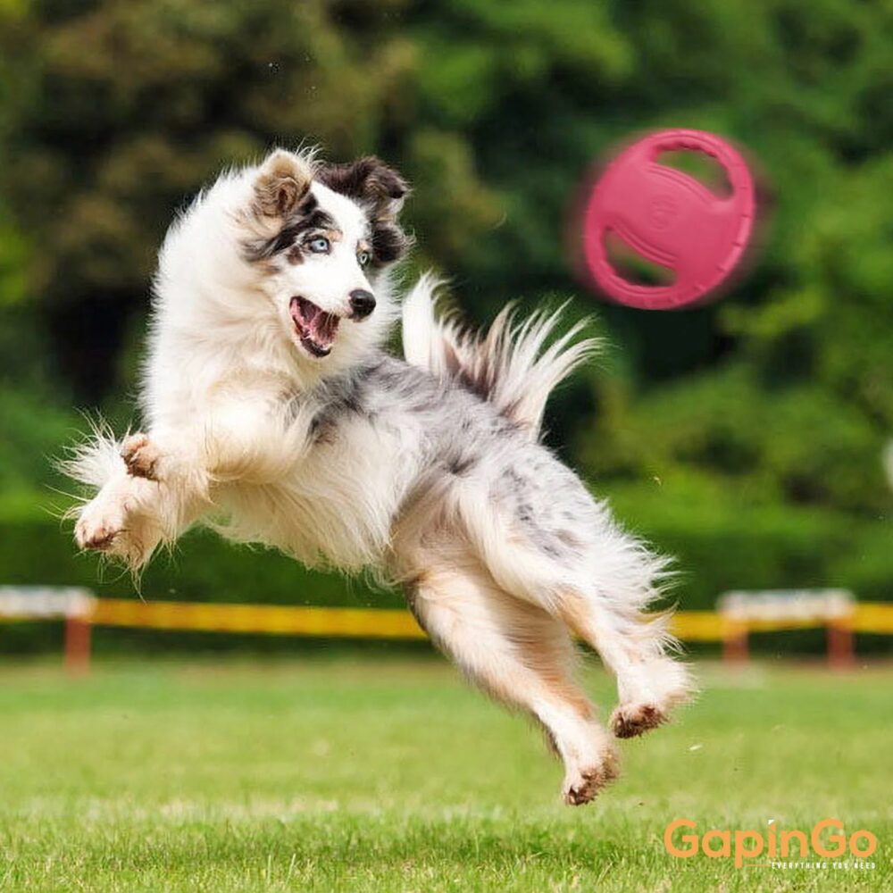 Pet Dog Flying Disc EVA Dog Training Ring with Double Handles Dog Flyer Toys for Outdoor Activity Toy