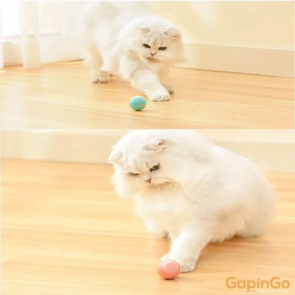 Training Self-moving Kitten Electric Cat Ball Toys Automatic Rolling Smart Cat Toys for Cats Toys for Indoor Interactive Playing