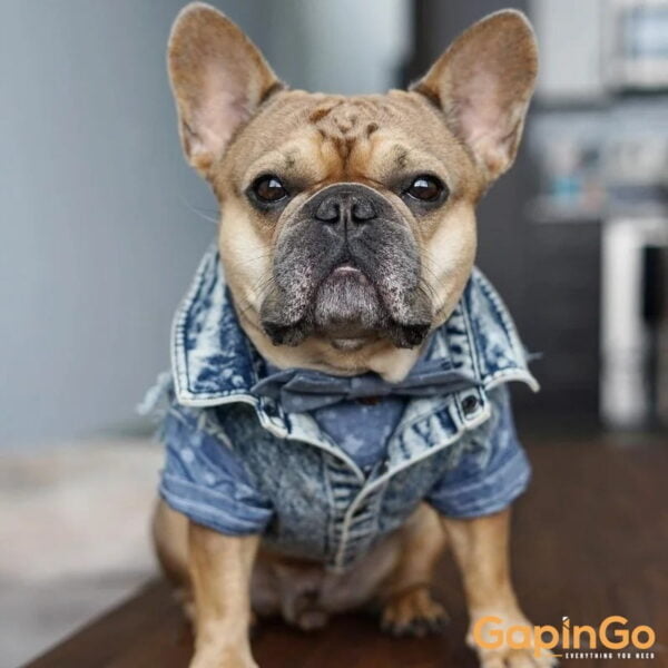 Pet Dog Jeans Jacket Denim Coats Holes Cats Puppy Vest French Bulldog Small Dog Clothes Spring/Autumn Apparel Fashion