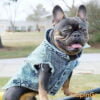 Pet Dog Jeans Jacket Denim Coats Holes Cats Puppy Vest French Bulldog Small Dog Clothes Spring/Autumn Apparel Fashion