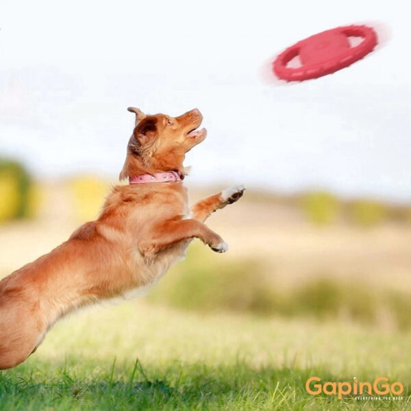 Pet Dog Flying Disc EVA Dog Training Ring with Double Handles Dog Flyer Toys for Outdoor Activity Toy